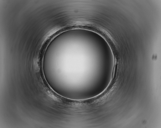 X0000100371018200806061151