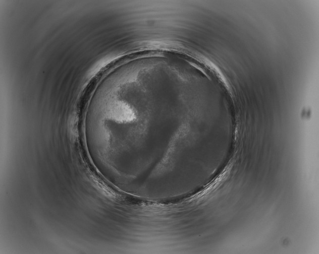 X0000100371019200806061151