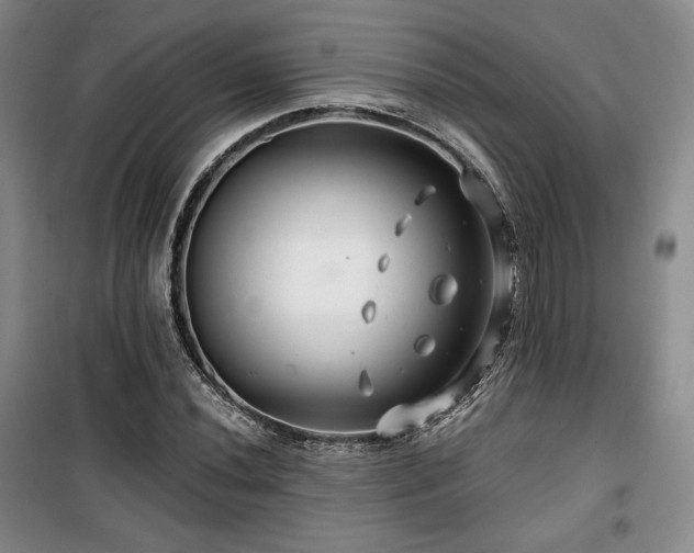 X0000100371020200806061151