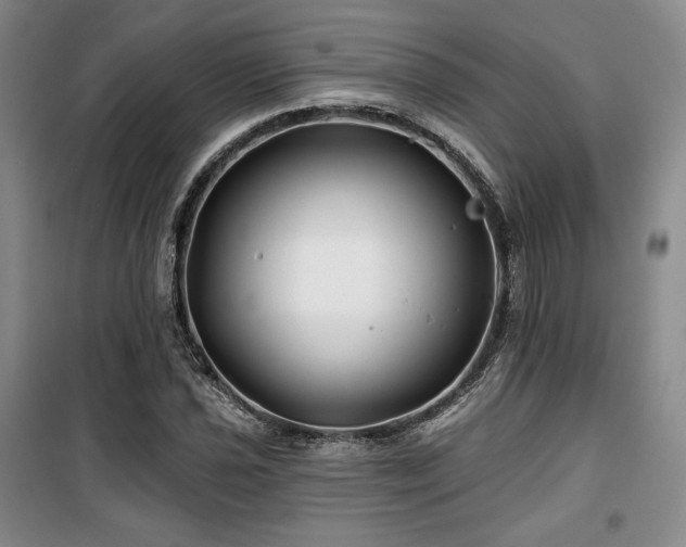 X0000100371021200806061151