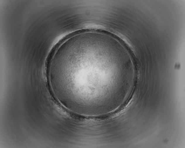 X0000100371022200806061151