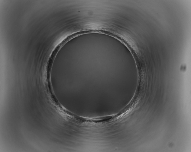 X0000100371023200806061151