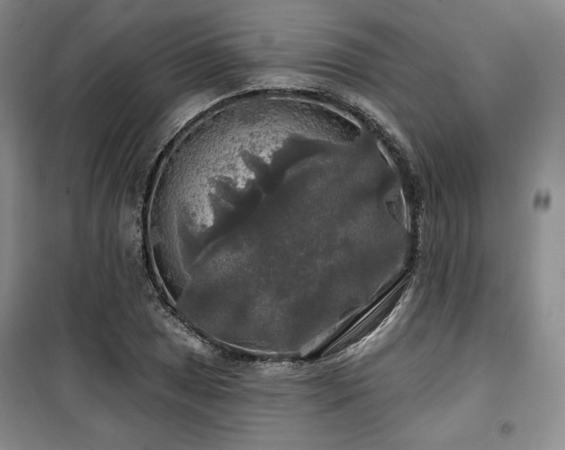 X0000100371025200806061151