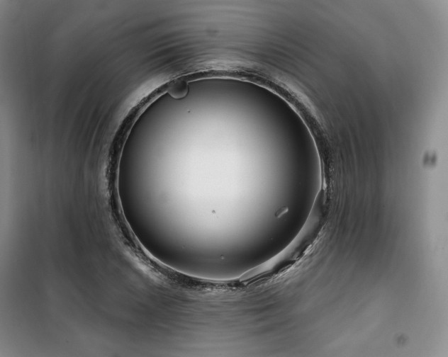 X0000100371026200806061151