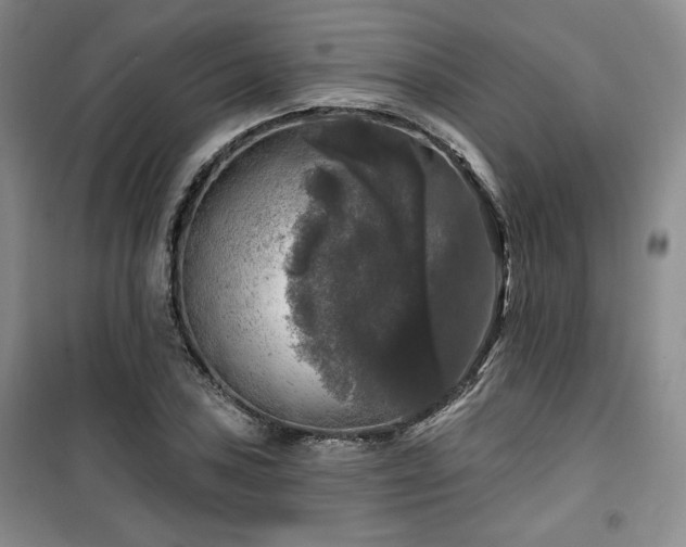 X0000100371027200806061151