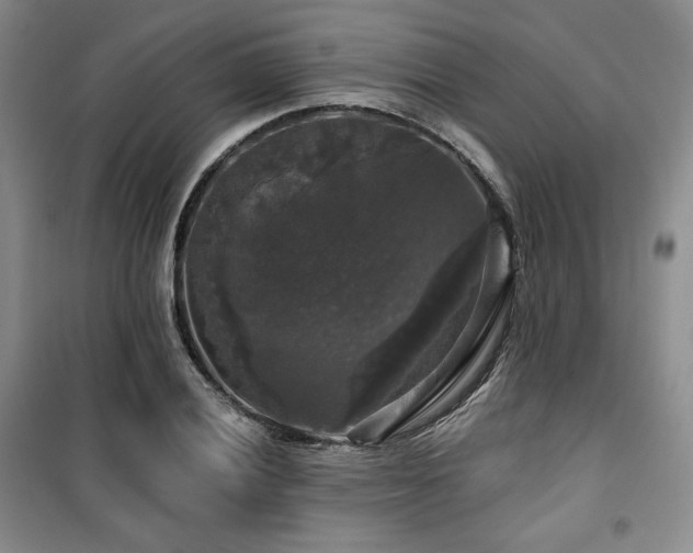 X0000100371028200806061151