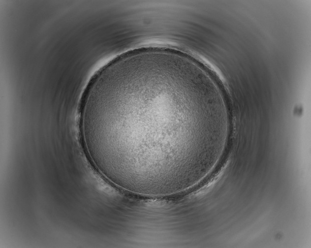 X0000100371029200806061151