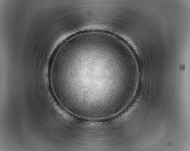 X0000100371030200806061151