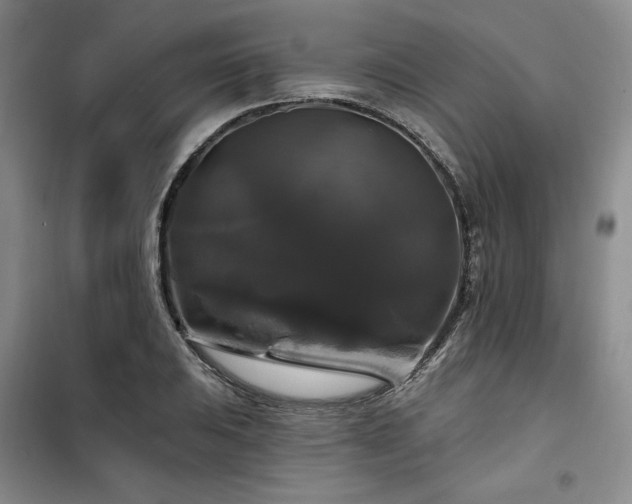 X0000100371031200806061151