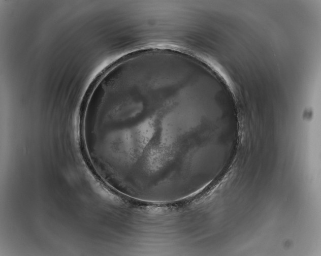 X0000100371032200806061151