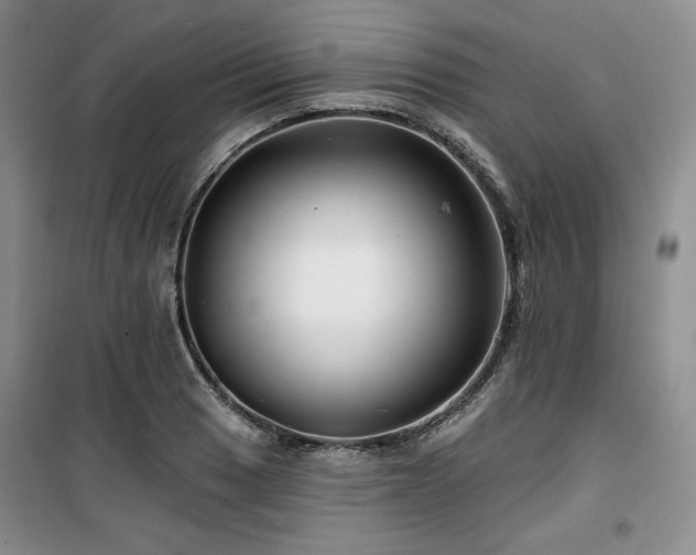 X0000100371033200806061151