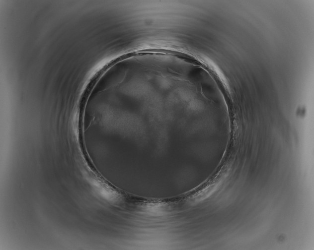 X0000100371035200806061151