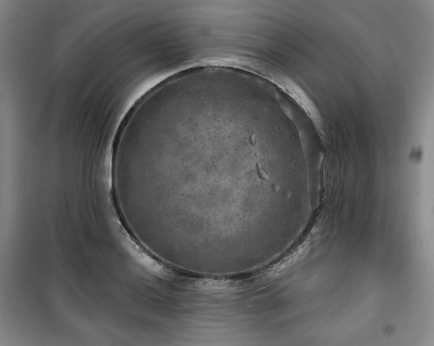 X0000100371036200806061151