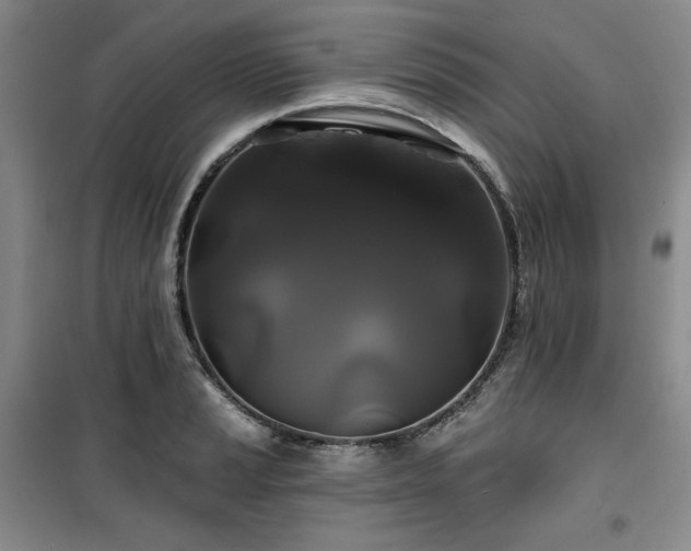 X0000100371037200806061151