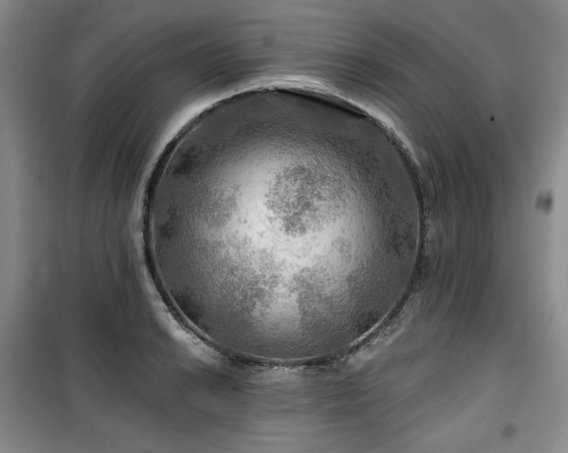 X0000100371038200806061151