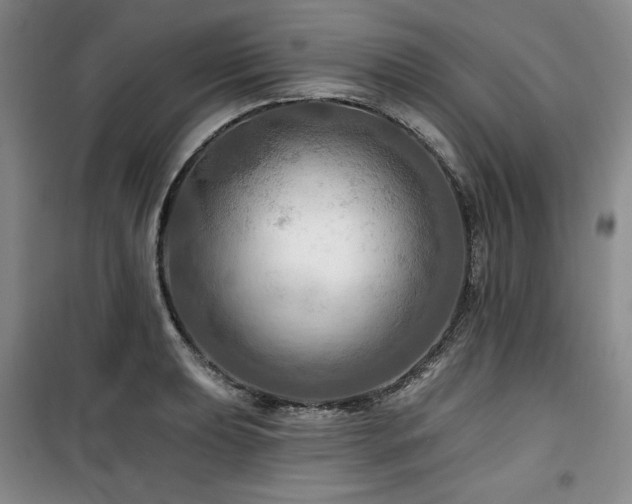 X0000100371039200806061151