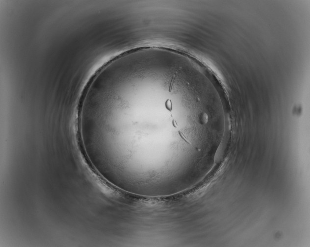 X0000100371040200806061151