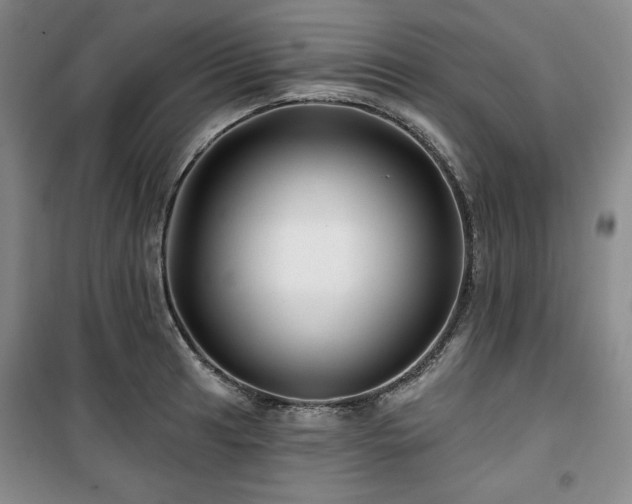 X0000100371041200806061151