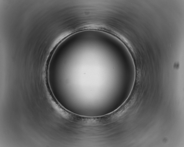X0000100371042200806061151