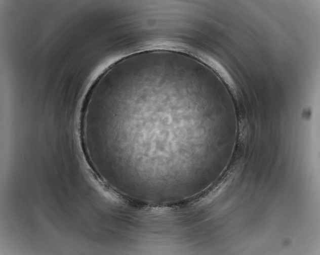 X0000100371043200806061151