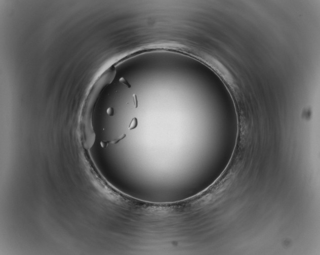X0000100371044200806061151