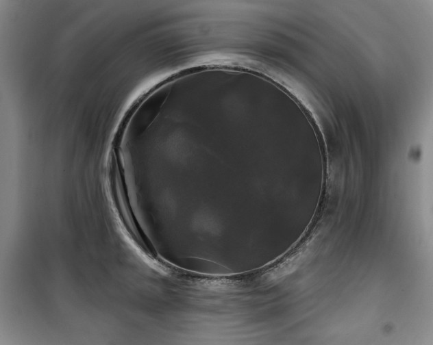 X0000100371045200806061151