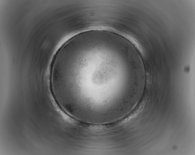 X0000100371046200806061151