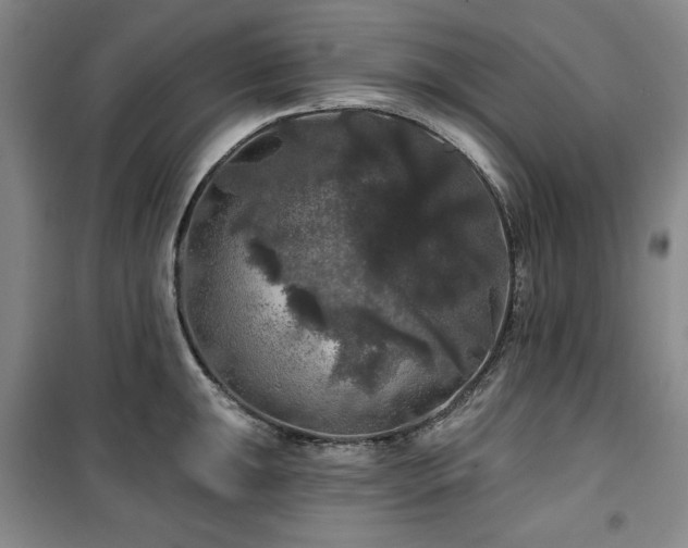 X0000100371047200806061151