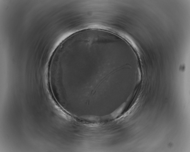 X0000100371048200806061151