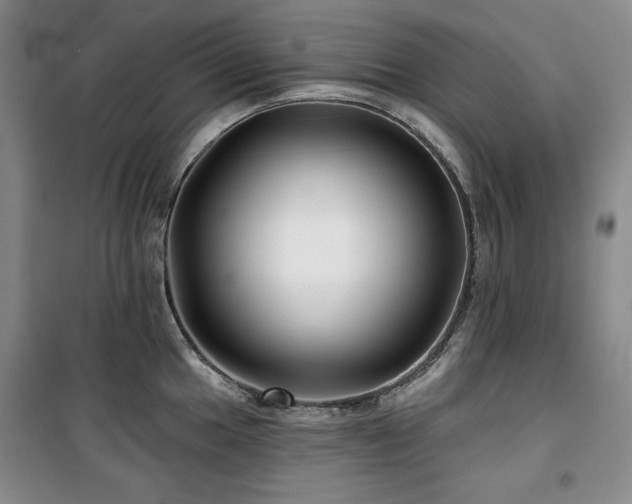 X0000100371049200806061151