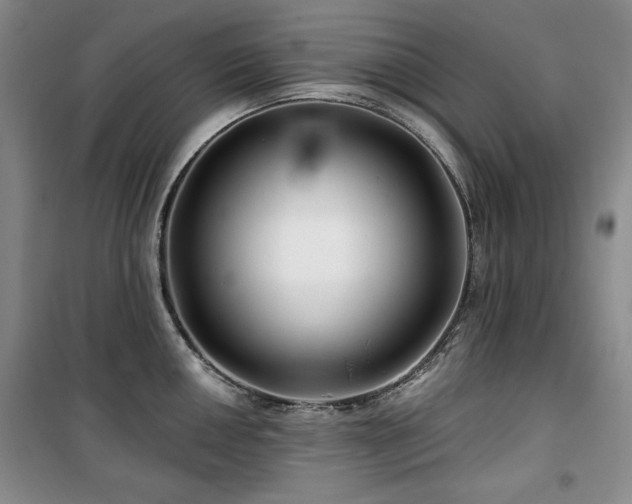 X0000100371050200806061151