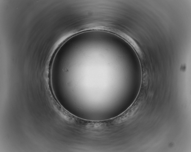 X0000100371051200806061151