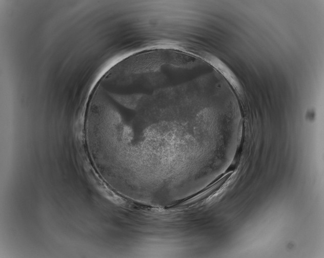 X0000100371052200806061151