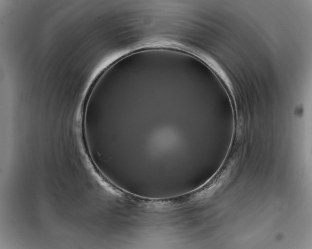 X0000100371053200806061151