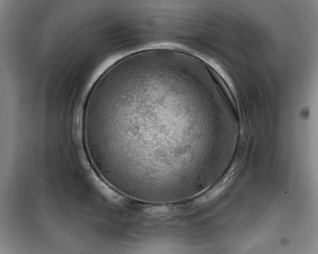 X0000100371054200806061151