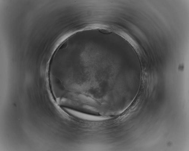 X0000100371055200806061151