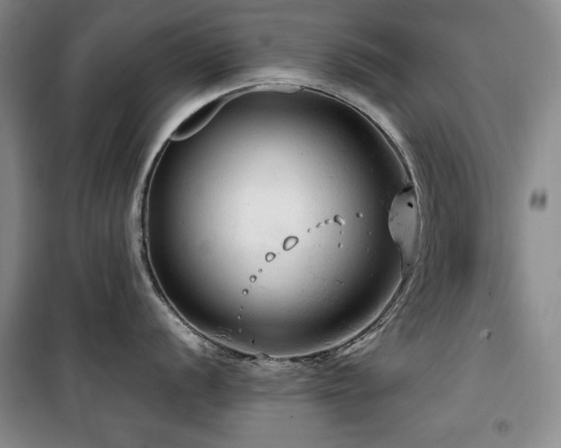 X0000100371056200806061151
