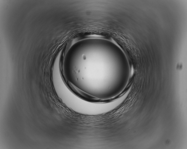 X0000100371057200806061150