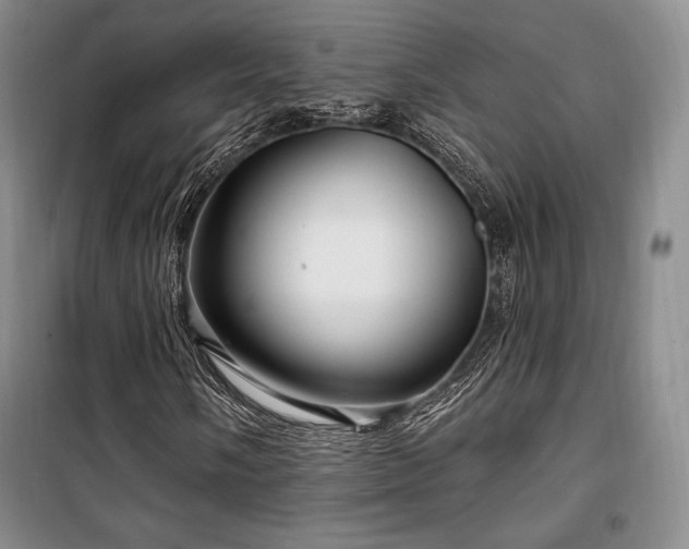 X0000100371058200806061150