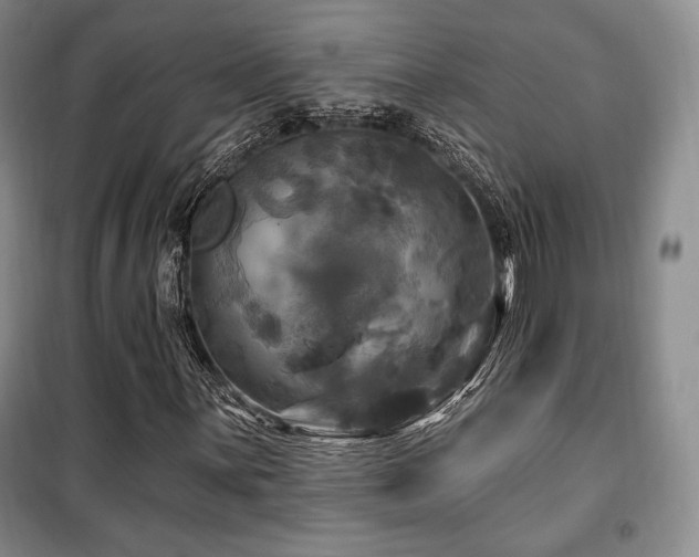 X0000100371059200806061150
