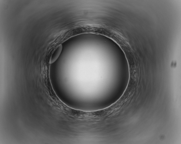 X0000100371061200806061150