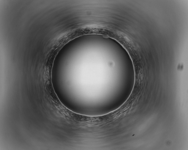 X0000100371062200806061150