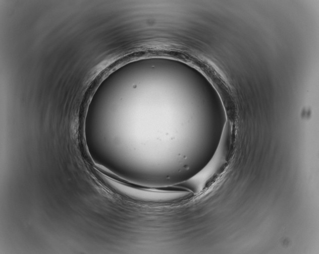 X0000100371065200806061150