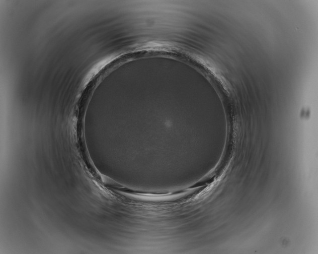 X0000100371066200806061150