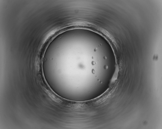 X0000100371067200806061150