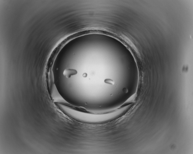 X0000100371068200806061150