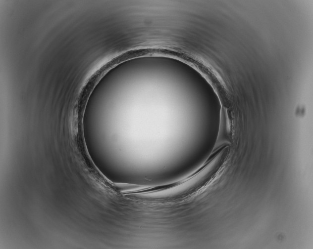X0000100371069200806061150