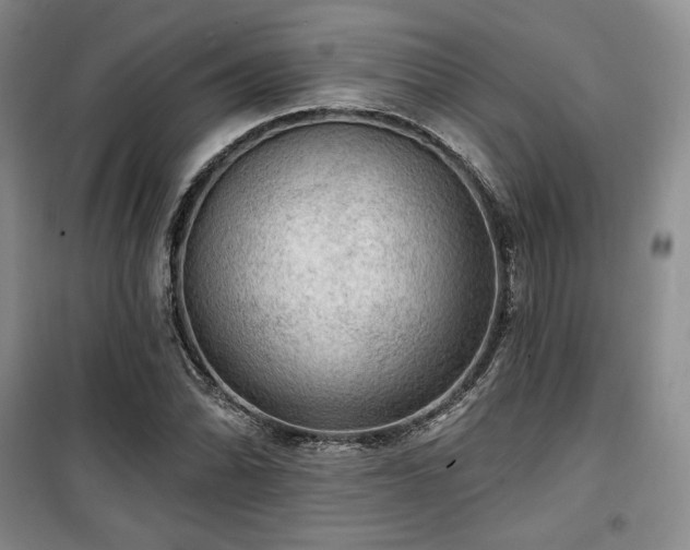 X0000100371070200806061150