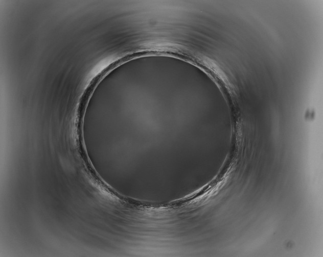 X0000100371071200806061150