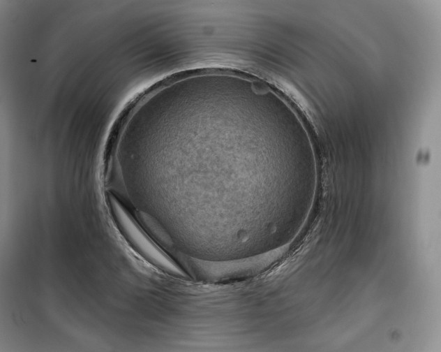 X0000100371072200806061150